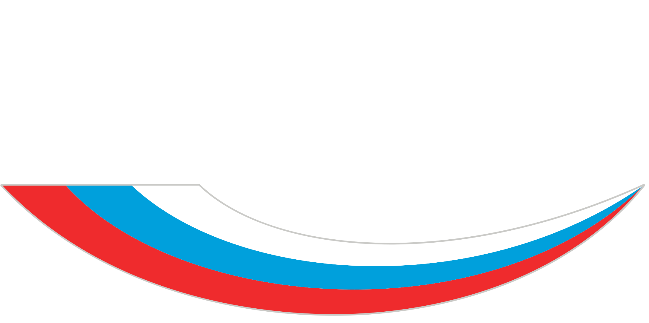 Фонд Бортника